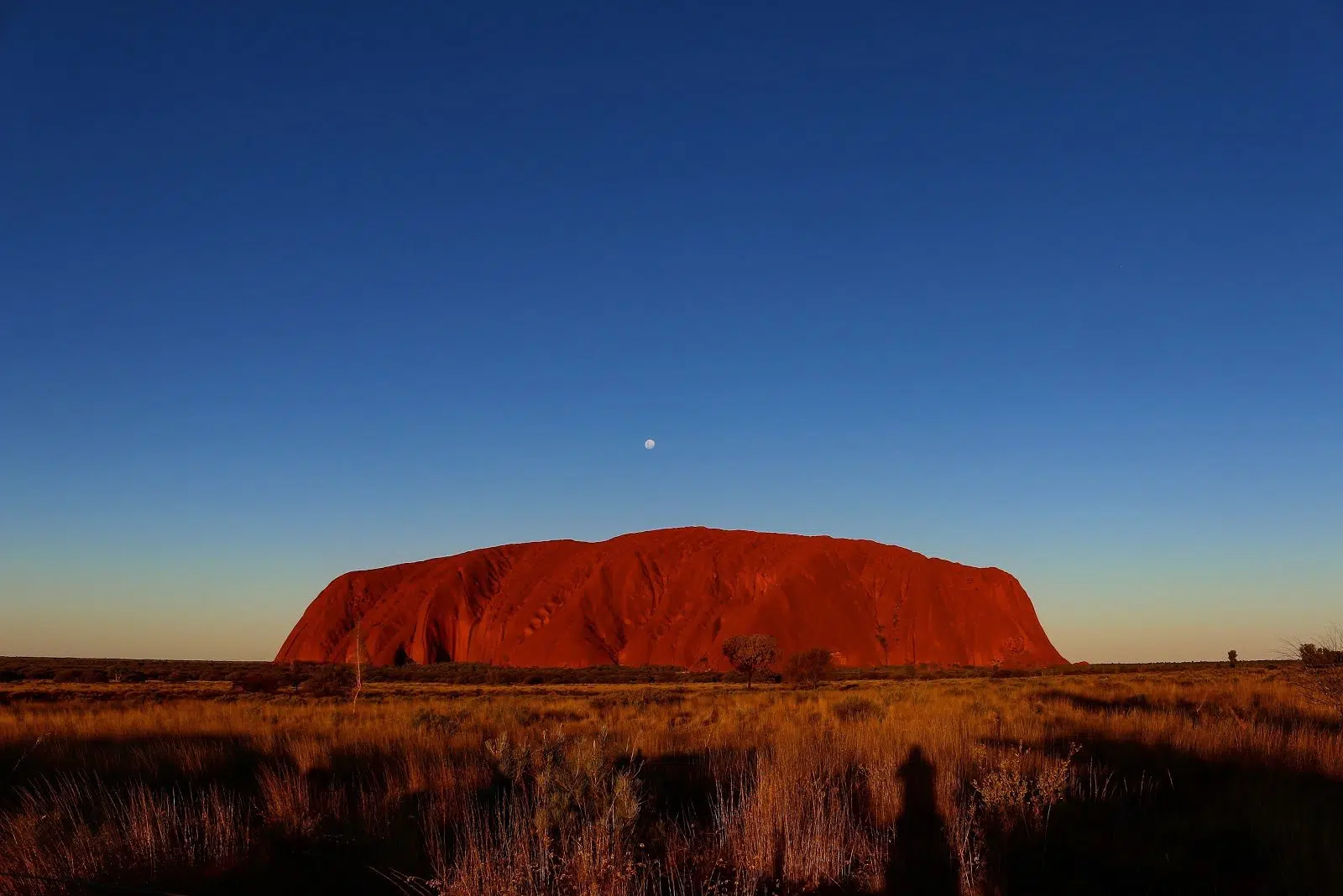 Top 10 Honeymoon Destinations in Australia 8 jason h 752049 unsplash