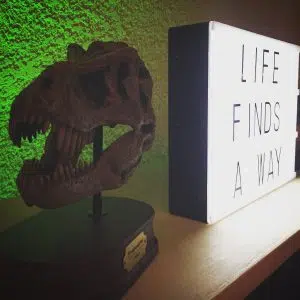Jurassic Park Wedding Inspiration 2 40481082940 a95ccf745f b