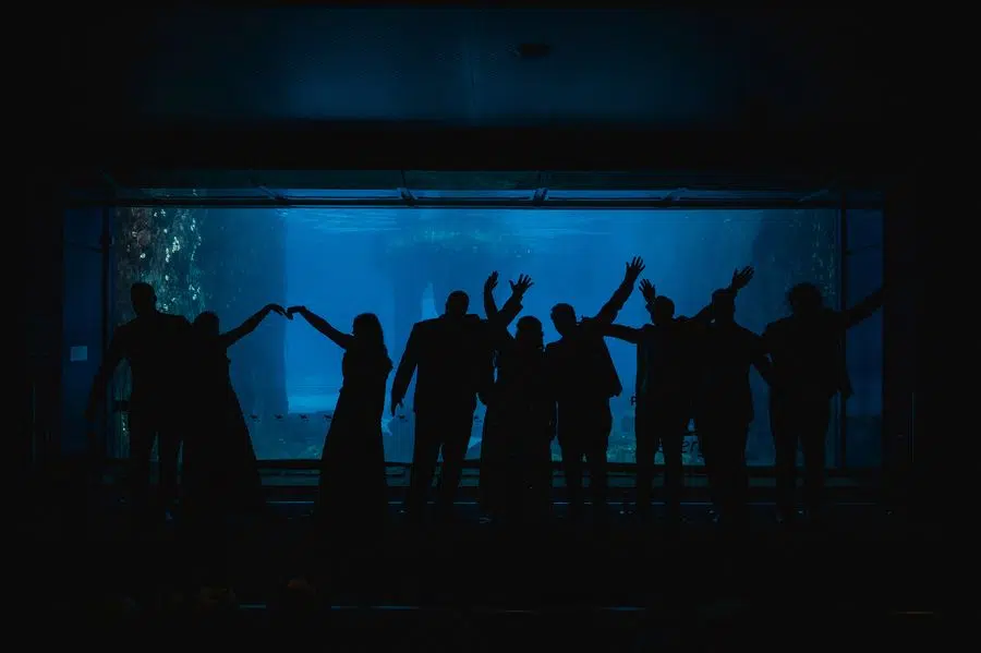 Under the Sea: A Magical Wedding at SEA LIFE Melbourne Aquarium 1 Chelsea and Kieran 26