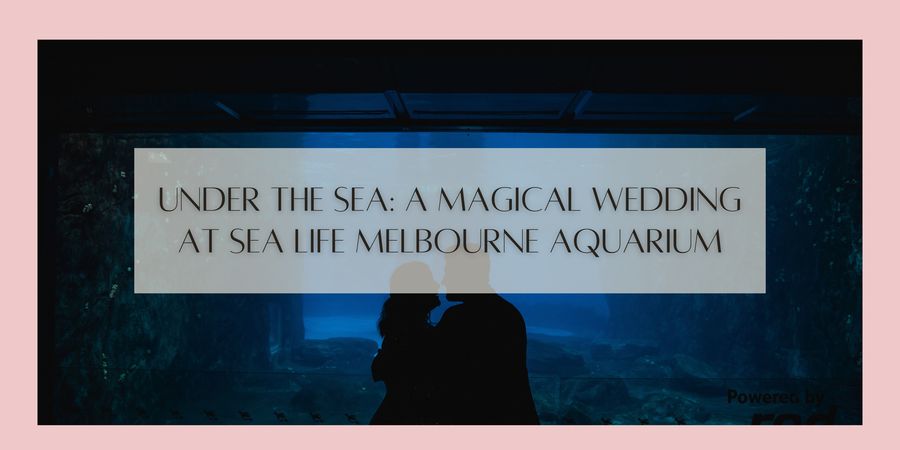 Under the Sea A Magical Wedding at SEA LIFE Melbourne Aquarium